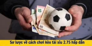 Hướng Dẫn Từng Bước Cách Chơi Kèo 2.75 Tại 1Gom Cho Tân Thủ