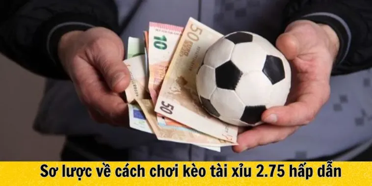 Hướng Dẫn Từng Bước Cách Chơi Kèo 2.75 Tại 1Gom Cho Tân Thủ