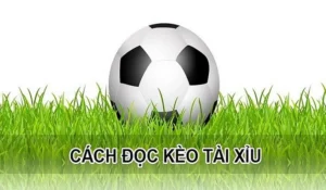 Bí Kíp Áp Dụng Cách Chơi Kèo Tài Xỉu Tại 1Gom Luôn Thắng Lớn