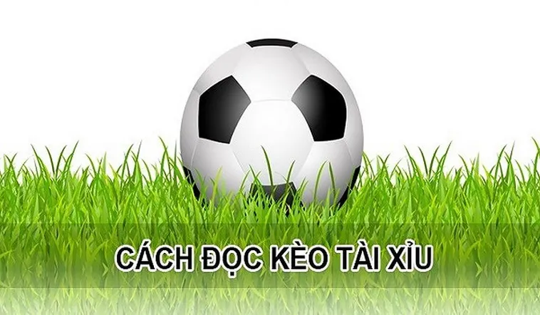Bí Kíp Áp Dụng Cách Chơi Kèo Tài Xỉu Tại 1Gom Luôn Thắng Lớn