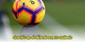 Cách Chơi Kèo Chấp 0.5 Tại 1Gom Dễ Hiểu Nhất