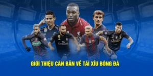 Bí Kíp Cách Chơi Kèo Tài Xỉu Bóng Đá Tại 1Gom Thắng Lớn Mỗi Ngày