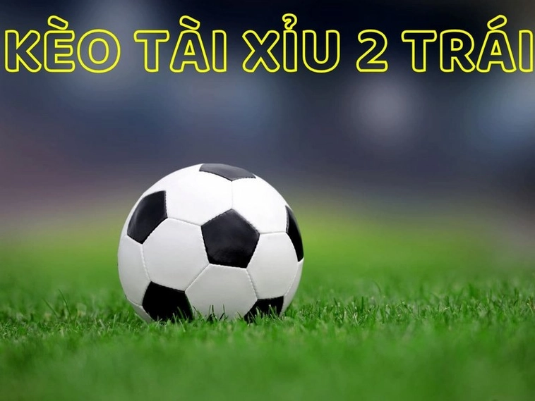 Bí Kíp Cách Chơi Kèo Tài Xỉu Bóng Đá Tại 1Gom Thắng Lớn Mỗi Ngày