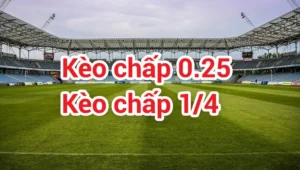 Cách Chơi Kèo Chấp 0.25 Tại 1Gom Dành Cho Tân Thủ
