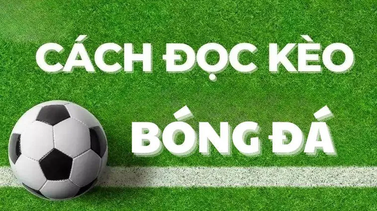 Các thông tin về tỷ lệ thắng kèo của từng đội bóng trong các trận gần nhất được thống kê đầy đủ và chính xác.