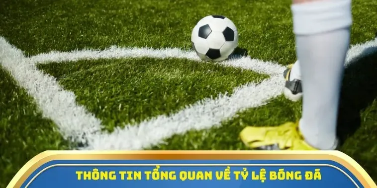 Dữ liệu kèo tại đây không chỉ dừng lại ở các trận đấu sắp diễn ra mà còn bao quát cả những diễn biến kèo rung ngay trong lúc trận đấu đang được tiến hành